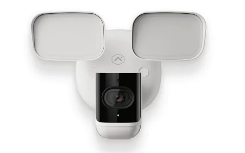 Outdoor floodlight camera